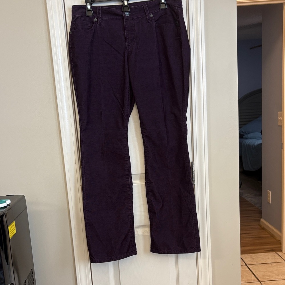 LOFT Deep Purple Flare Pants